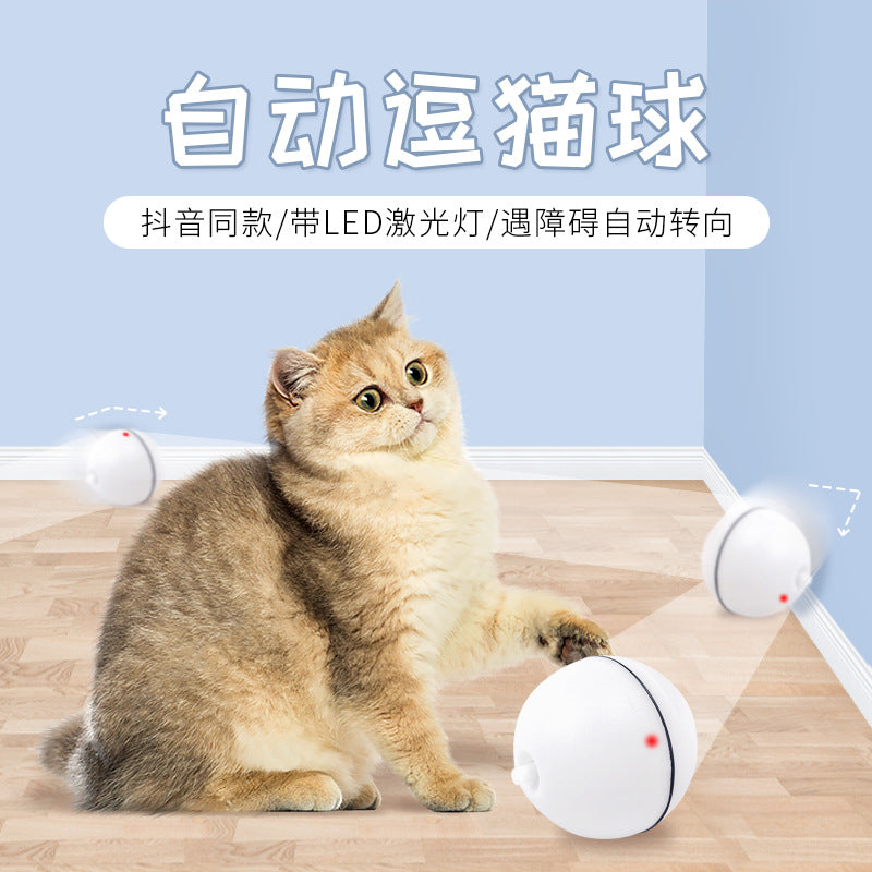Pet electric cat toy LED infrared funny cat stick feather cat self-hi automatically funny cat ball USB rechargeable