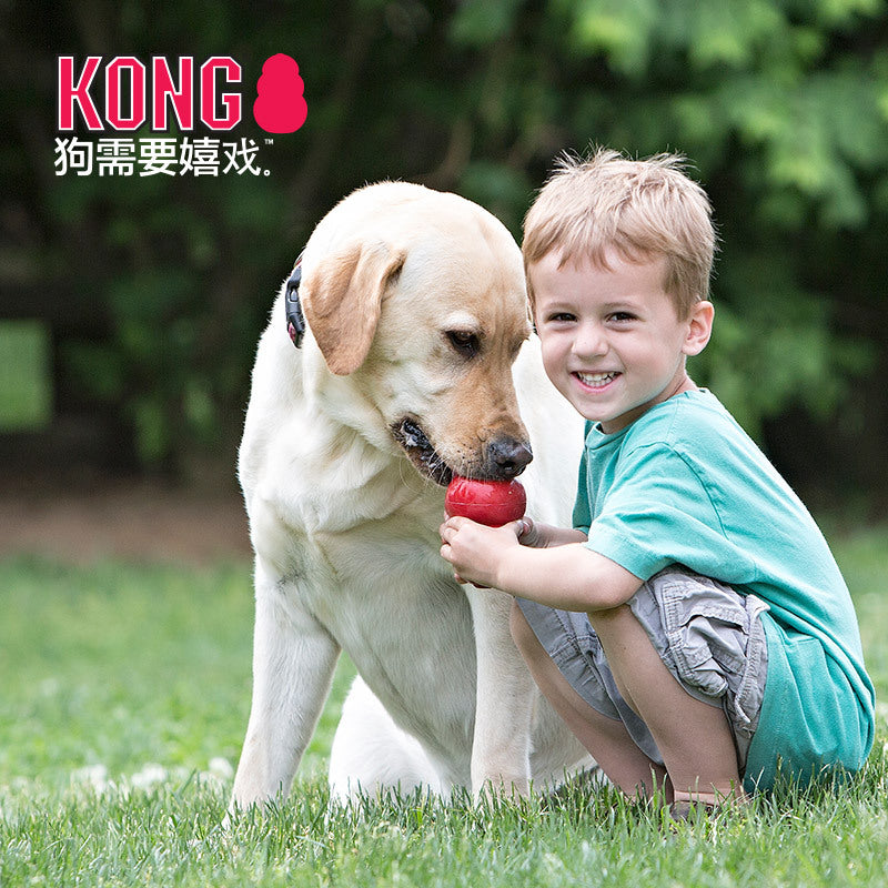 Wholesale spot pet supplies American KONG classic gourd resistant to bite and leakage rubber dog toy Golden Retriever Teddy