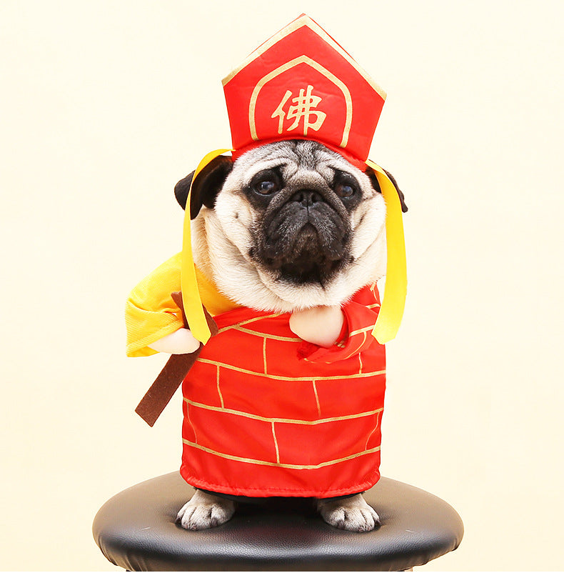 Vibrato with the same net celebrity playing guitar dog clothes cat funny costume turned cat Teddy funny pet costume