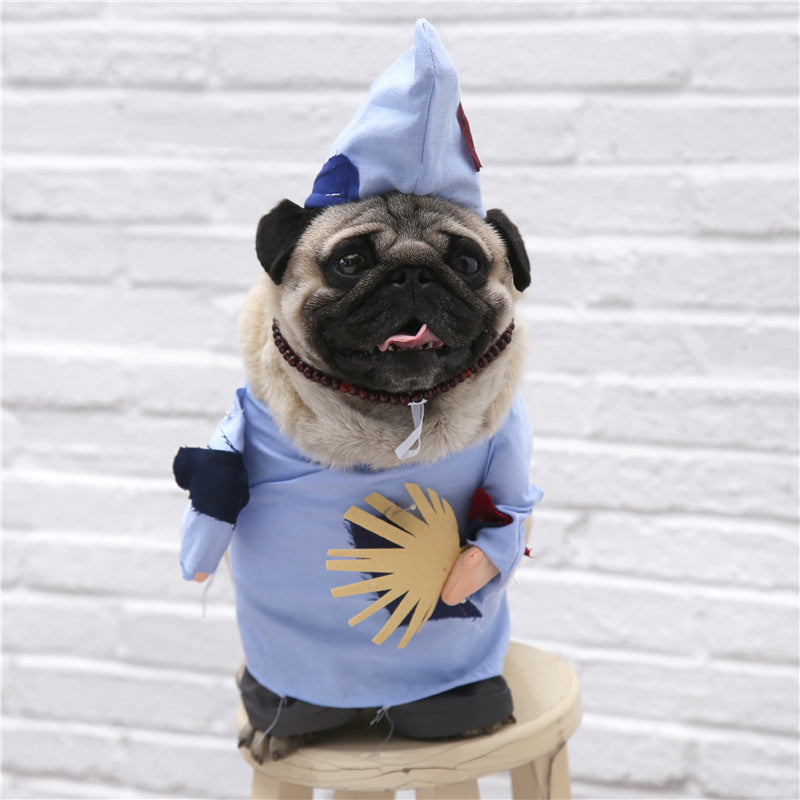 Vibrato with the same net celebrity playing guitar dog clothes cat funny costume turned cat Teddy funny pet costume