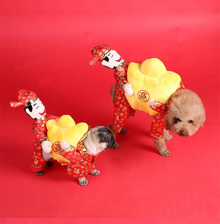 Vibrato with the same net celebrity playing guitar dog clothes cat funny costume turned cat Teddy funny pet costume