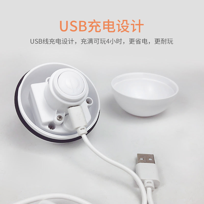 Pet electric cat toy LED infrared funny cat stick feather cat self-hi automatically funny cat ball USB rechargeable