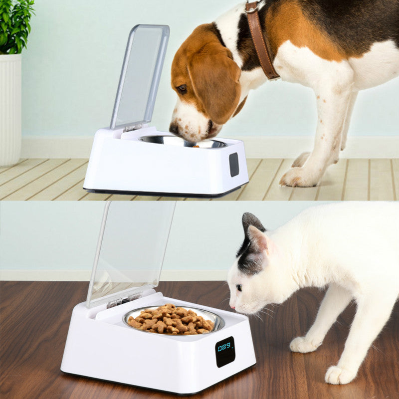Pet supplies cat smart automatic feeder healthy 5G bowl USB charging induction switch cover cross-border hot sales