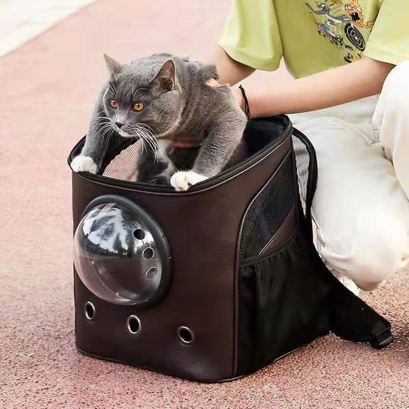 PU space capsule pet bag go out backpack creative travel back space capsule bag factory stock supply