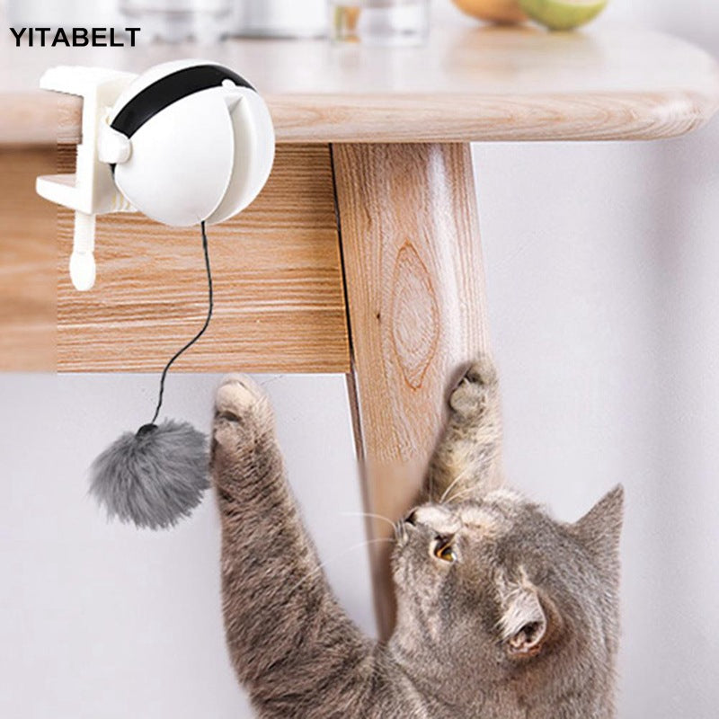 Pet cat toy Funny cat electric yo-yo lifting ball interactive educational toy