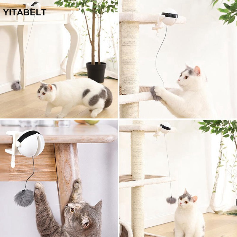 Pet cat toy Funny cat electric yo-yo lifting ball interactive educational toy