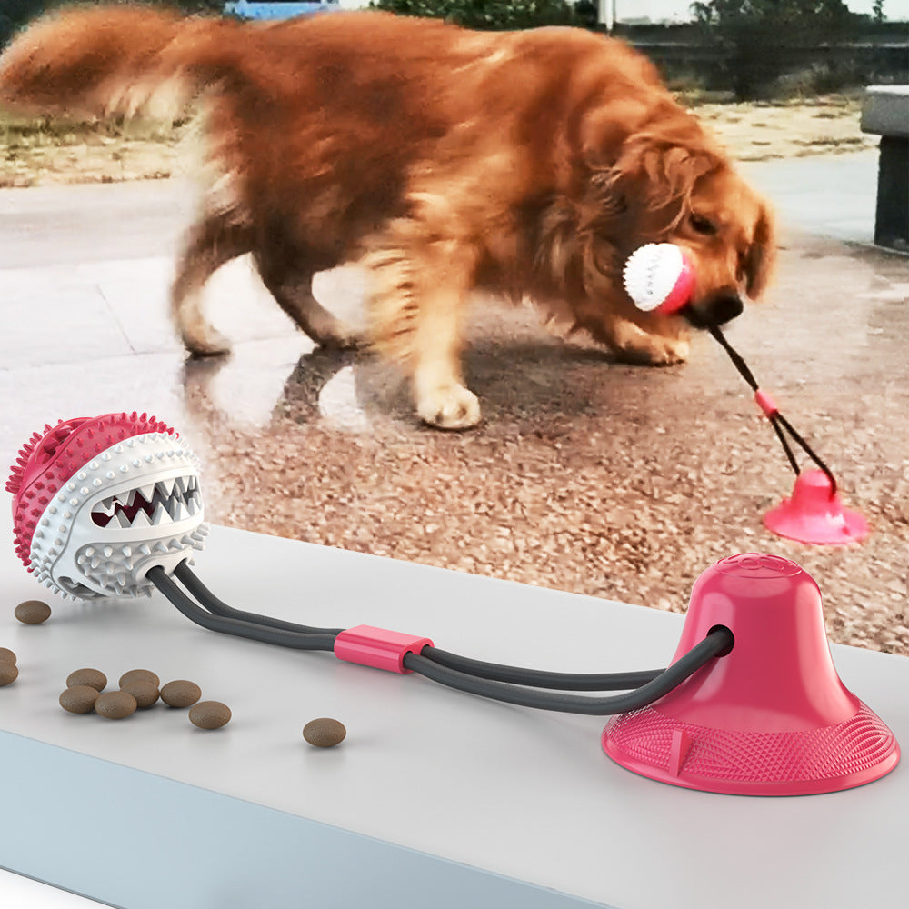 Pet Molar Amazon hot sale pet supplies teething leaker chew resistant ball suction cup dog toy