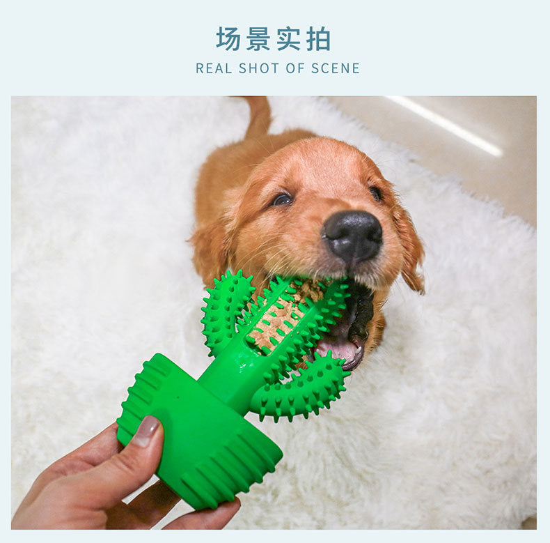 Original dog toothbrush pet vocal teeth cleaning rods cactus dog toy supplies