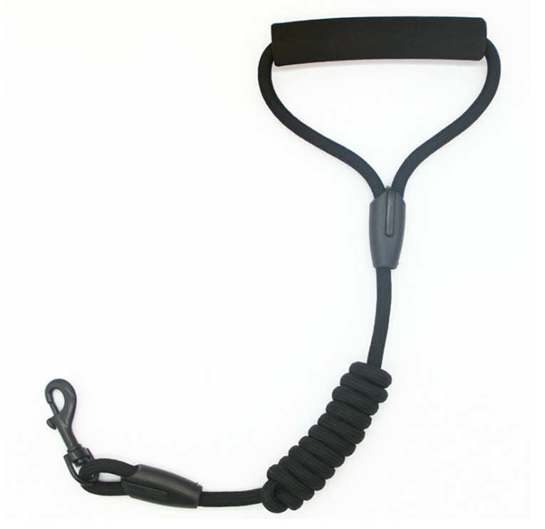 New autumn and winter pet clothes with a black collar