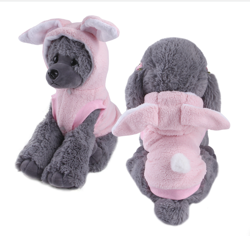 New autumn and winter pet clothes with a black collar