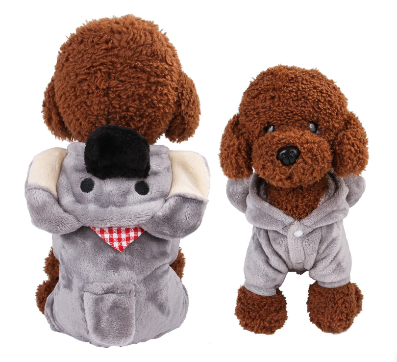 New autumn and winter pet clothes with a black collar