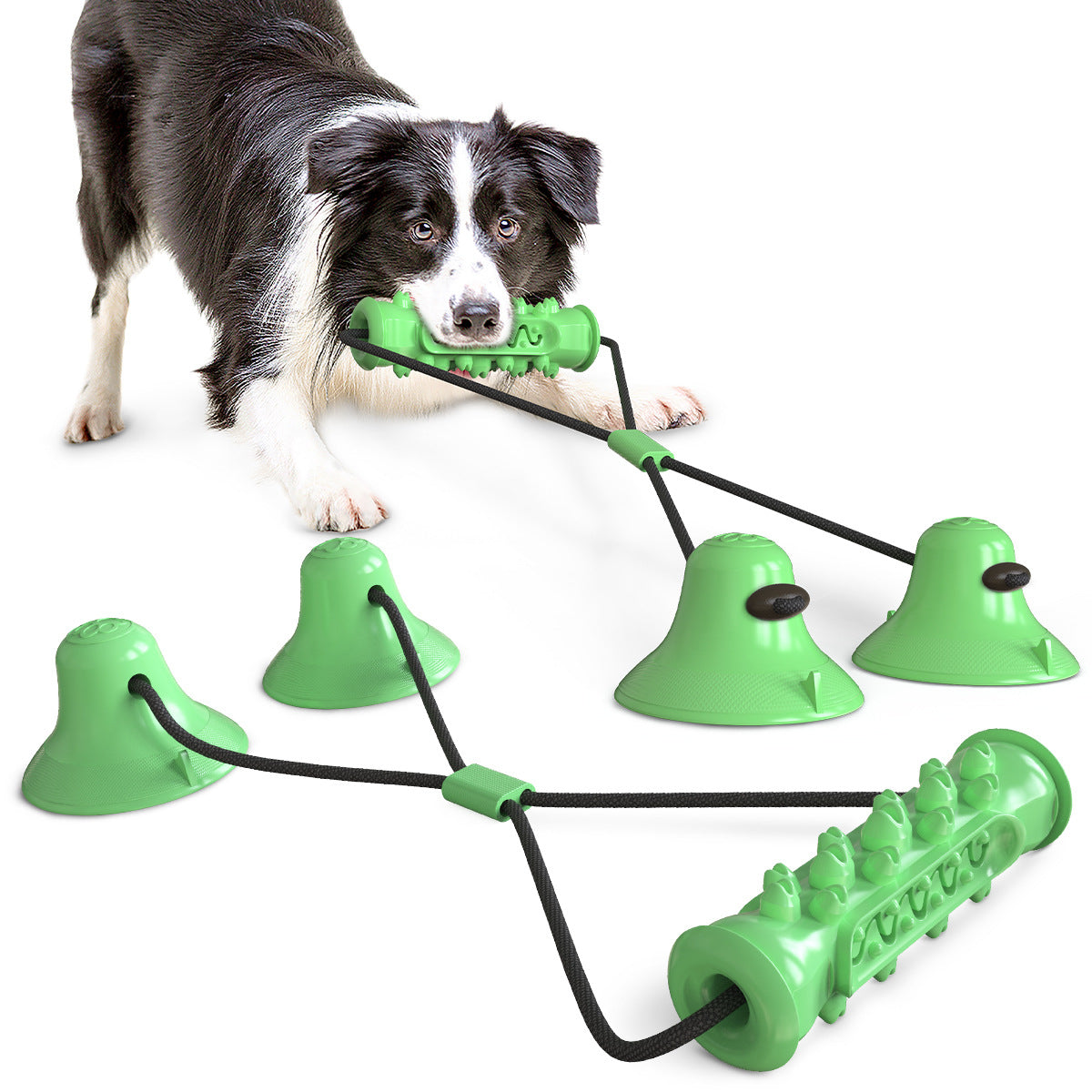 Pet Products Amazon Double Suction Cup Pull Rope Dog Toy Teeth Grinding Resistant Stick Dog Vent Toy PetMolar