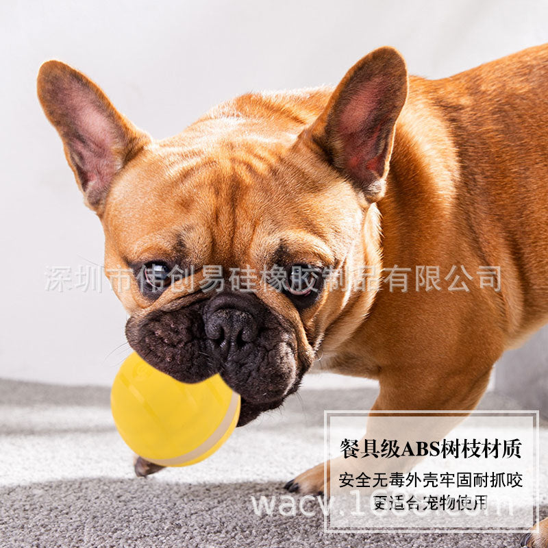 Pet toy ball auto sleep USB charging cat and dog funny toy ball LED flashing rolling ball
