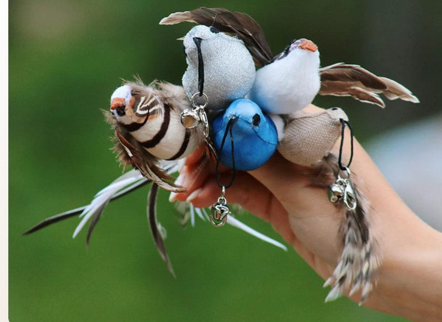 Love Bird Cat Toy Colorful Feather Bird Steel Wire Long Rod Amusing Cat Stick Replacement Head Self-Hi Bite-resistant Pet Toy