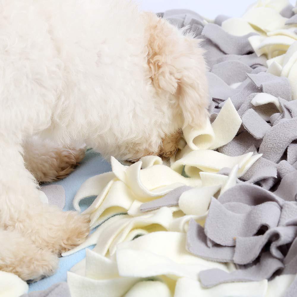 Factory direct selling spot pet training blanket training dog slow food leakage smelling pad to relieve stress dog toy sniffing pad