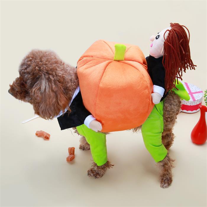 Pet supplies dog clothes upright pirate costume dog clothes police doctor standing costume guitar transformation costume funny costume