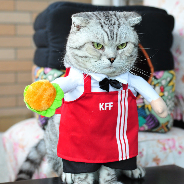 Pet supplies dog clothes upright pirate costume dog clothes police doctor standing costume guitar transformation costume funny costume