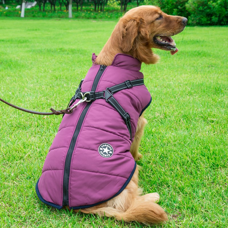 Weichong Beier cross-border large dog cotton coat water-proof dog warm clothes pet chest and back integrated vest spot wholesale