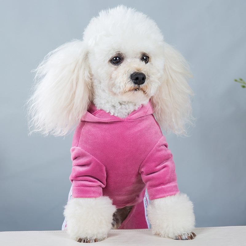 Dog clothes spring and autumn new gold velvet four-legged sports and leisure clothing Teddy clothes one-piece pet four-legged clothing