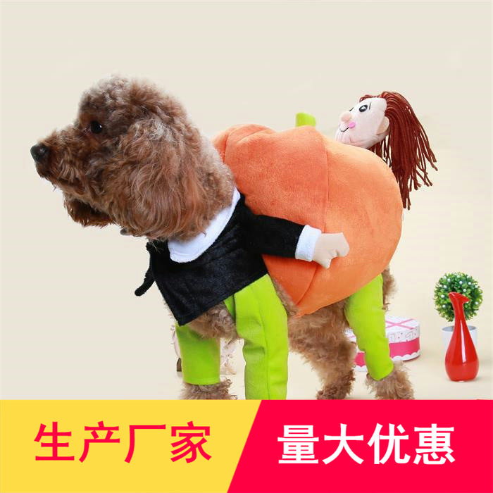 Funny Teddy Poodle pet dog carrying pumpkin transformation costume Little man holding pumpkin Santa Claus clothes