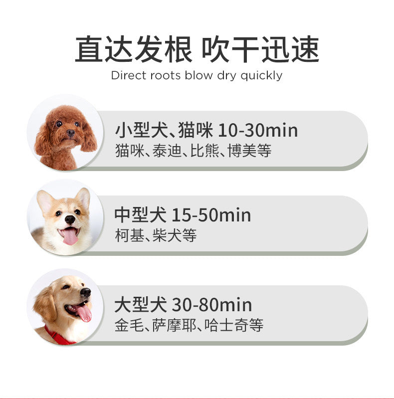 Wholesale hair pet blowing comb cats and dogs hair dryer brushing cleaning cats and dogs electric pet hair comb