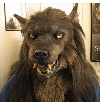 Eagle mask eagle headgear Halloween simulation animal bulldog parrot old man young man headgear mask