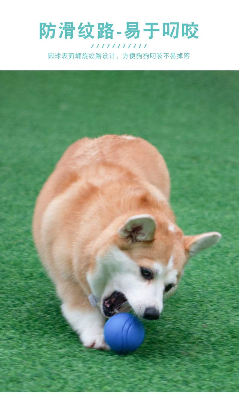 Meianju pet dog elastic ball bite-resistant solid ball rubber chewing toy ball outdoor throwing recovery training