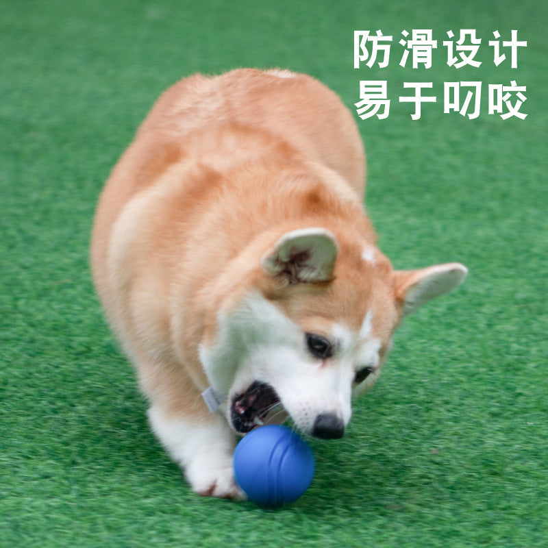 Meianju pet dog elastic ball bite-resistant solid ball rubber chewing toy ball outdoor throwing recovery training
