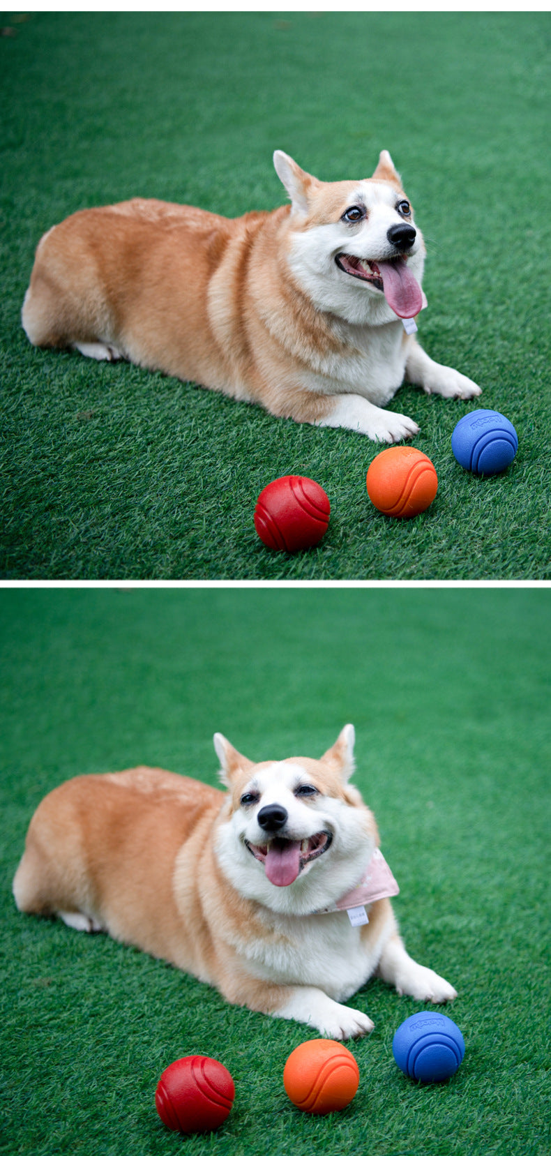 Meianju pet dog elastic ball bite-resistant solid ball rubber chewing toy ball outdoor throwing recovery training