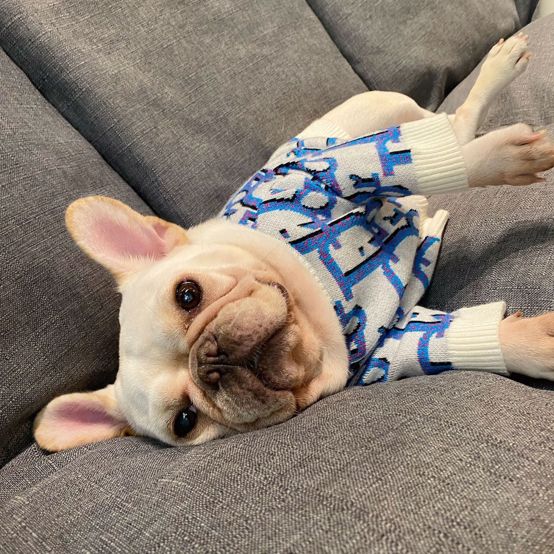 Pet trendy brand Internet celebrity clothes dog cat French dog Teddy Schnauzer Internet celebrity puppy autumn and winter sweatshirt sweater