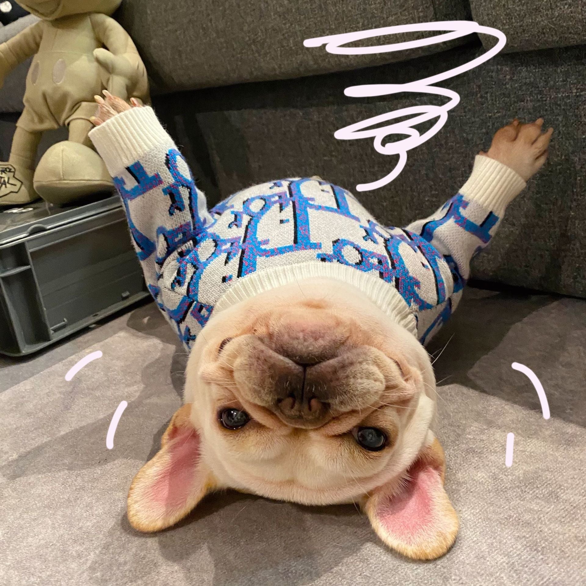 Pet trendy brand Internet celebrity clothes dog cat French dog Teddy Schnauzer Internet celebrity puppy autumn and winter sweatshirt sweater