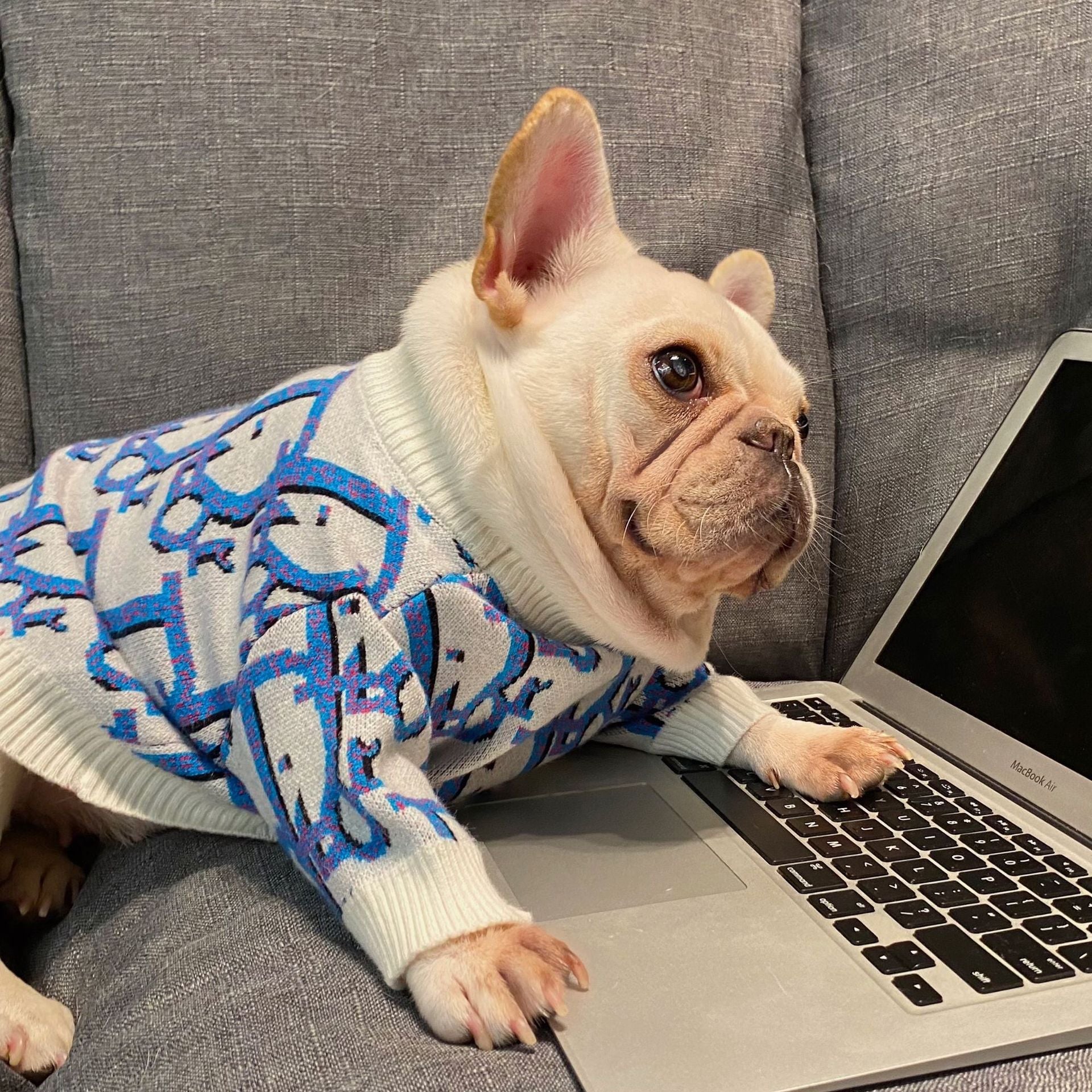 Pet trendy brand Internet celebrity clothes dog cat French dog Teddy Schnauzer Internet celebrity puppy autumn and winter sweatshirt sweater