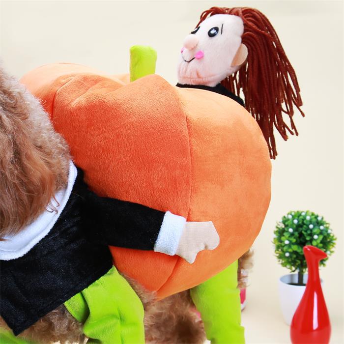 Funny Teddy Poodle pet dog carrying pumpkin transformation costume Little man holding pumpkin Santa Claus clothes