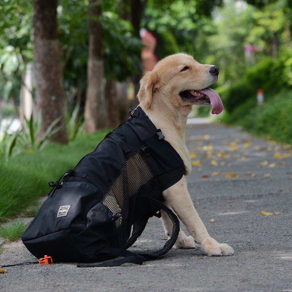 Pet backpack traveler dog head bag ventilation breathable washable bicycle outdoor shopping backpack