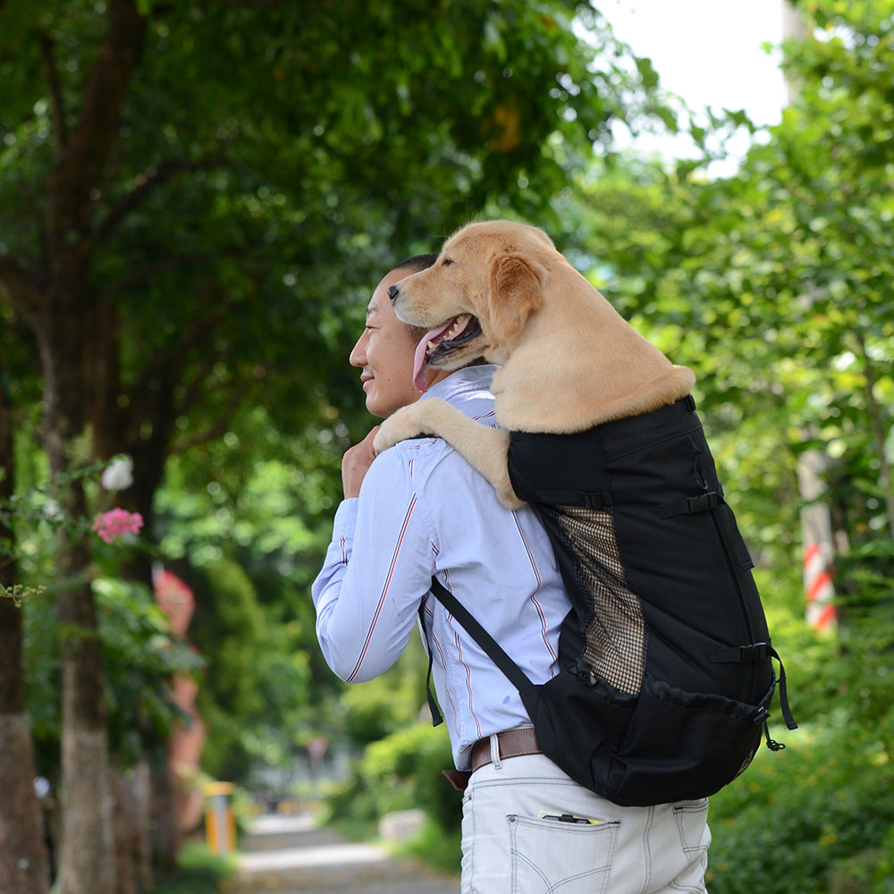 Pet backpack traveler dog head bag ventilation breathable washable bicycle outdoor shopping backpack