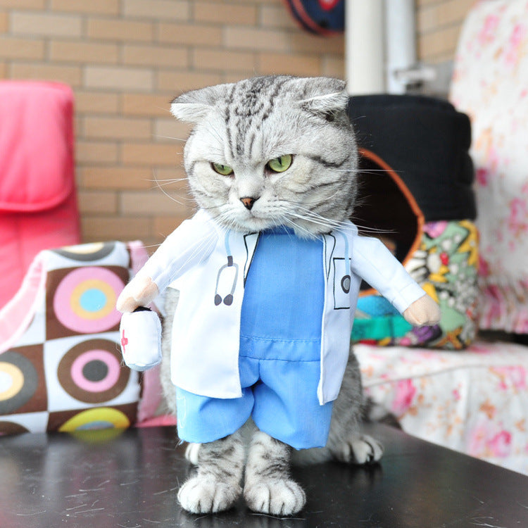 Pet cat costumes cute funny funny costumes funny cats and dogs clothes stand-up transforming clothes
