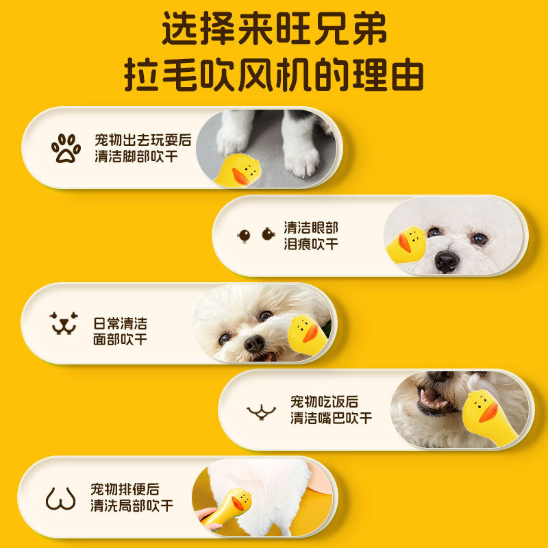 [New product] Laiwang Brothers pet hair dryer mini version partial hair removal pet dog durable