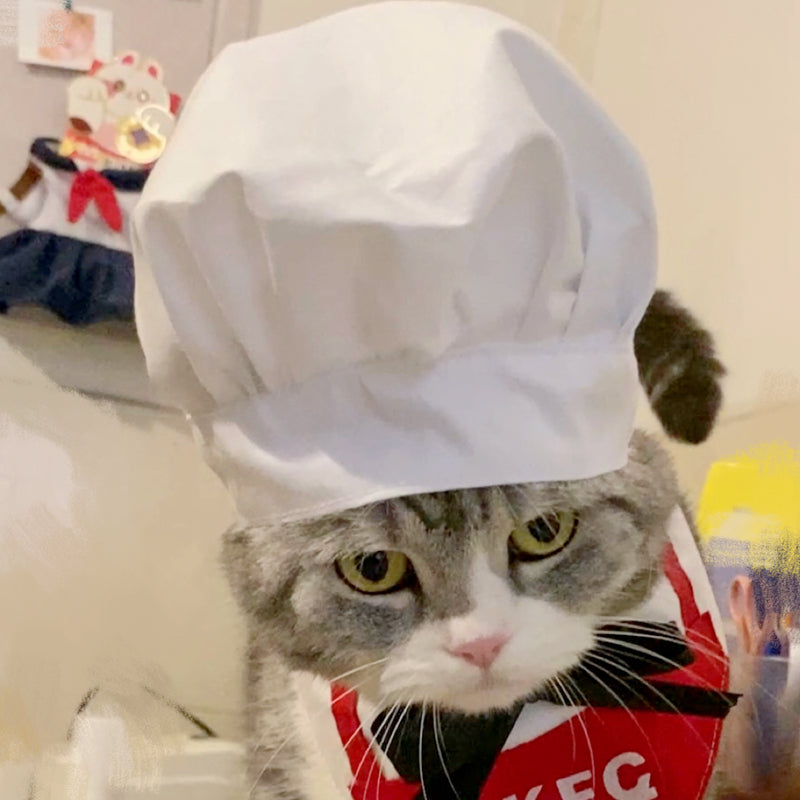 Funny Pet Cat Clothes McDonald's Cute Hat Bib Skirt Waiter British Shorthair American Shorthair Cat Transformation Costume