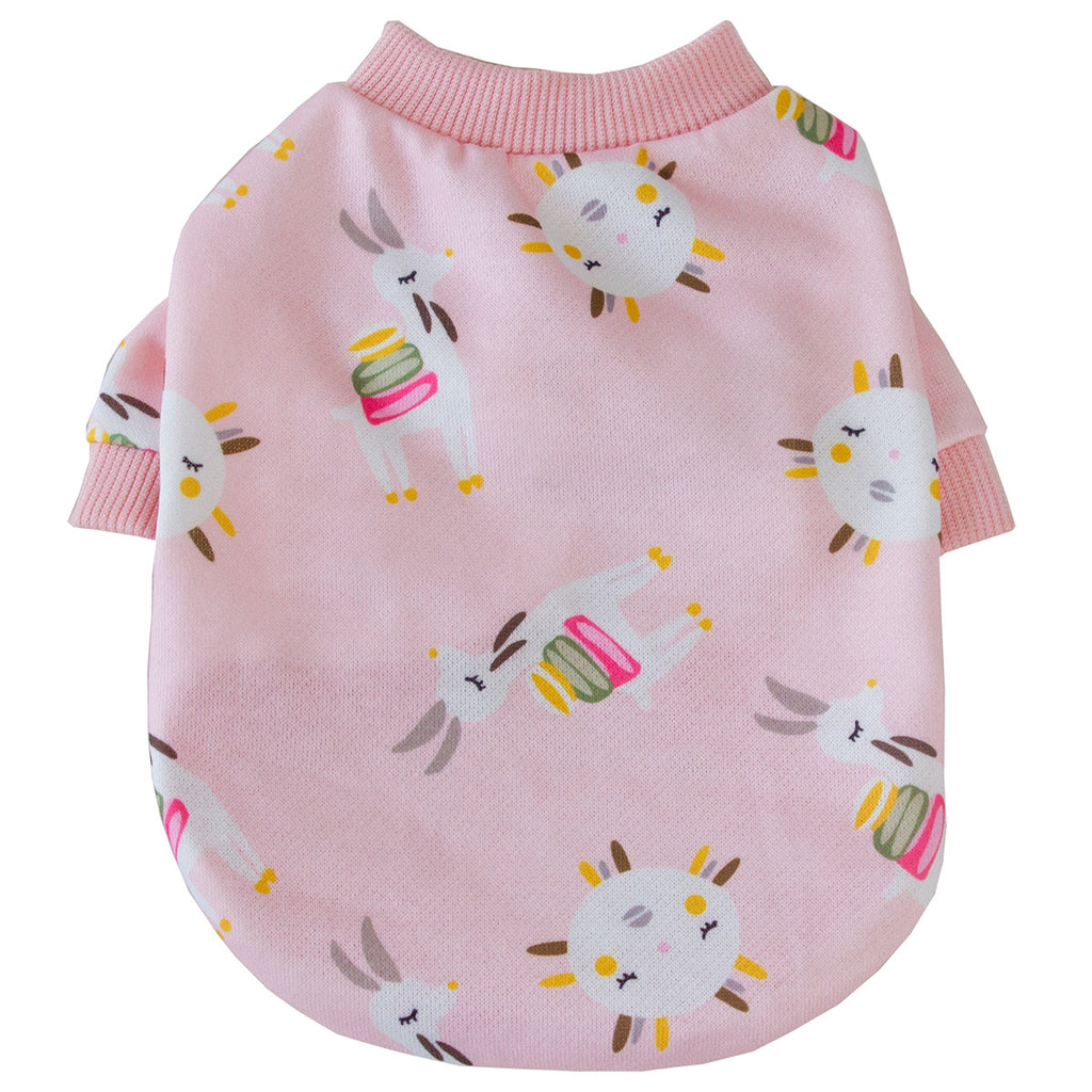 Dog Clothes Autumn and Winter Thin Cardigan Sweater Teddy Bichon Pomeranian Schnauzer Small Dog Cat Pet Clothes