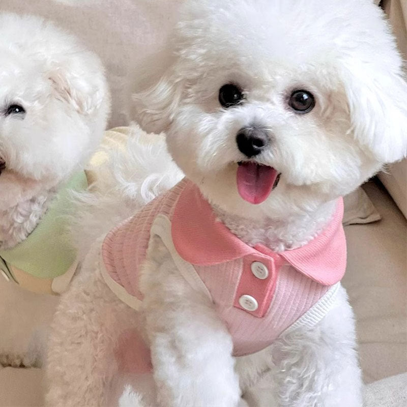 Summer thin dog clothes lapel T-shirt Teddy Bichon Pomeranian small dog cat vest outdoor pet clothes