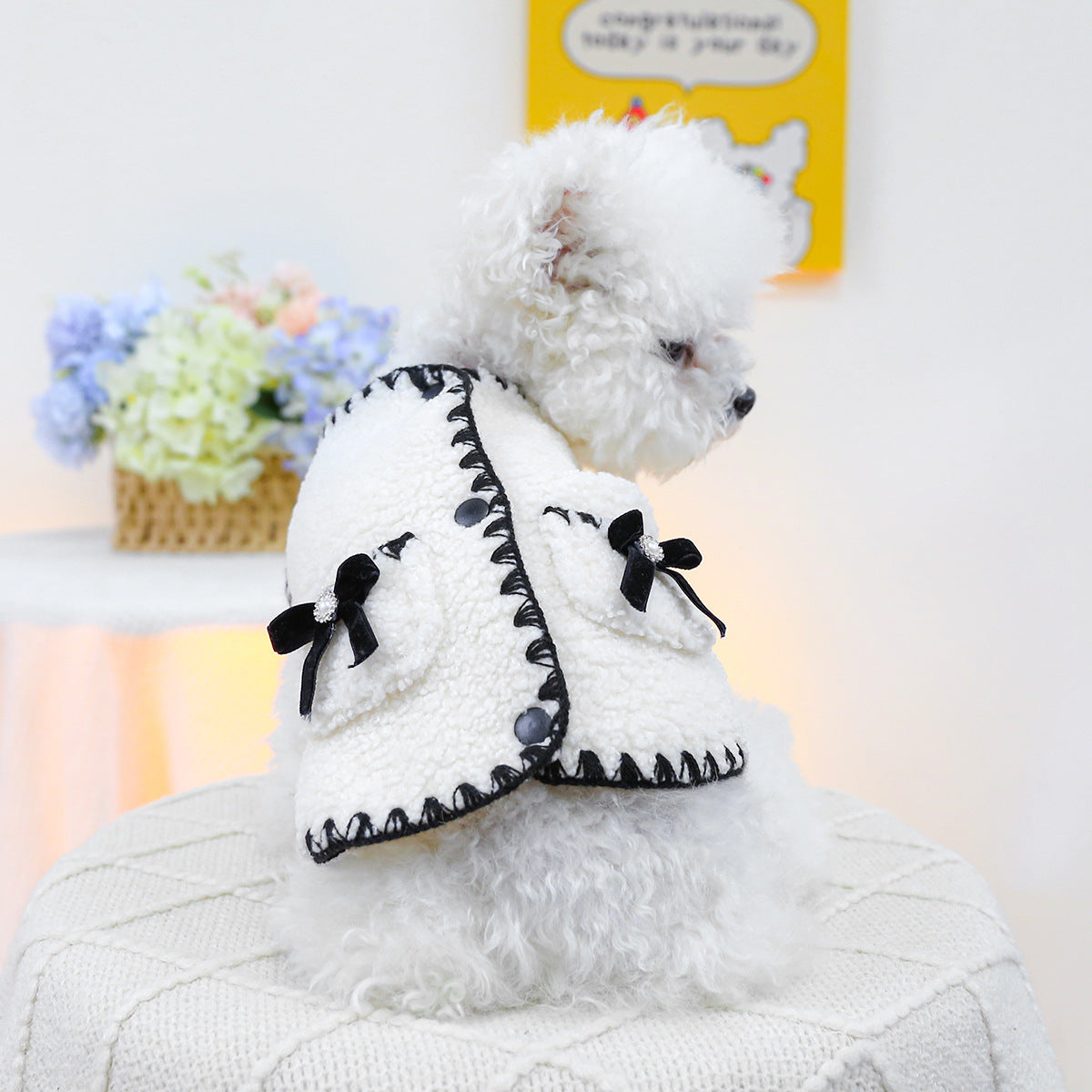 Spot cross-border hot-selling pet puppy and cat clothes source factory autumn and winter new lambskin fragrance vest