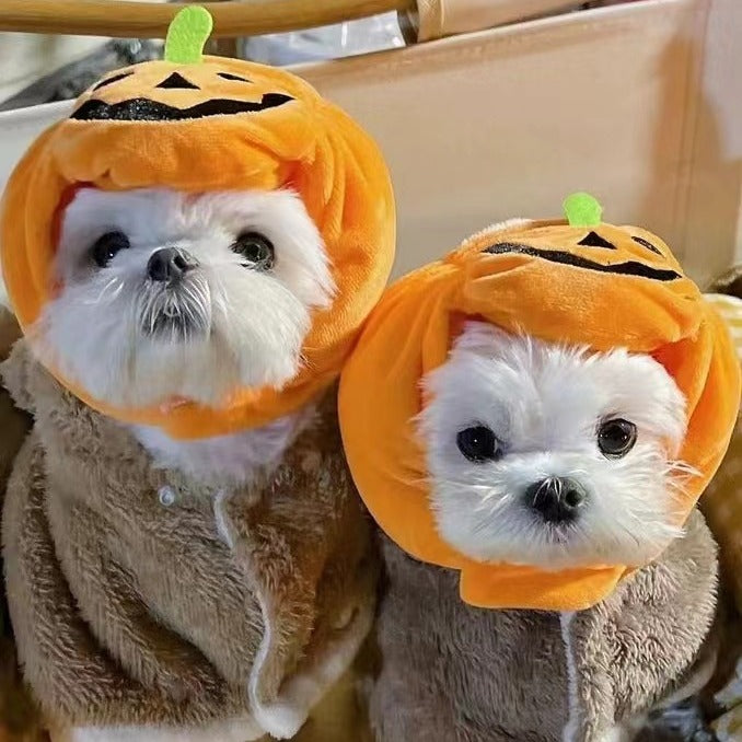 Pet cat dog pumpkin cat hat Halloween ghost festival decoration headdress supplies small medium and large dog Teddy French bulldog