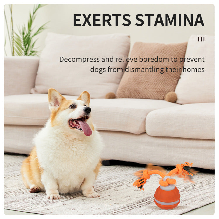 Cross-border pet smart rolling ball rolling ball electric dog boring smart bite-resistant dog ball teething toy