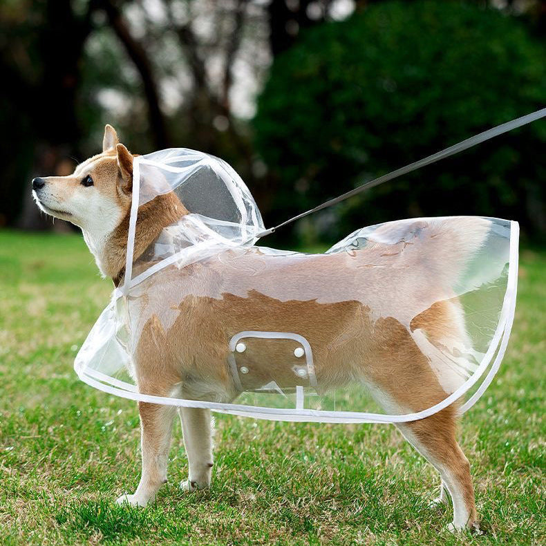 Pet raincoat transparent dog raincoat factory direct wholesale one piece waterproof windproof pet clothes large dog
