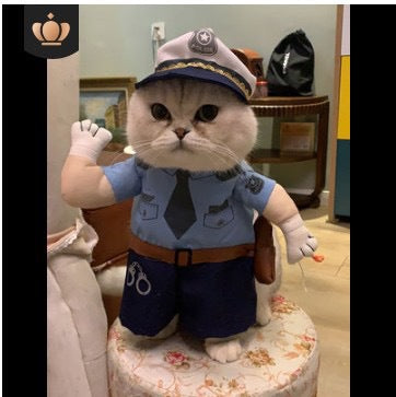 Funny dog and cat clothes, funny knife-holding Samoyed cute Bichon creative pet Teddy French bulldog spoof