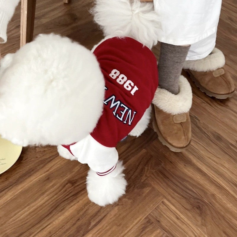Autumn and winter dog clothes thin fleece warm hooded sweatshirt funny cat two-legged pet clothes Teddy transformation outfit