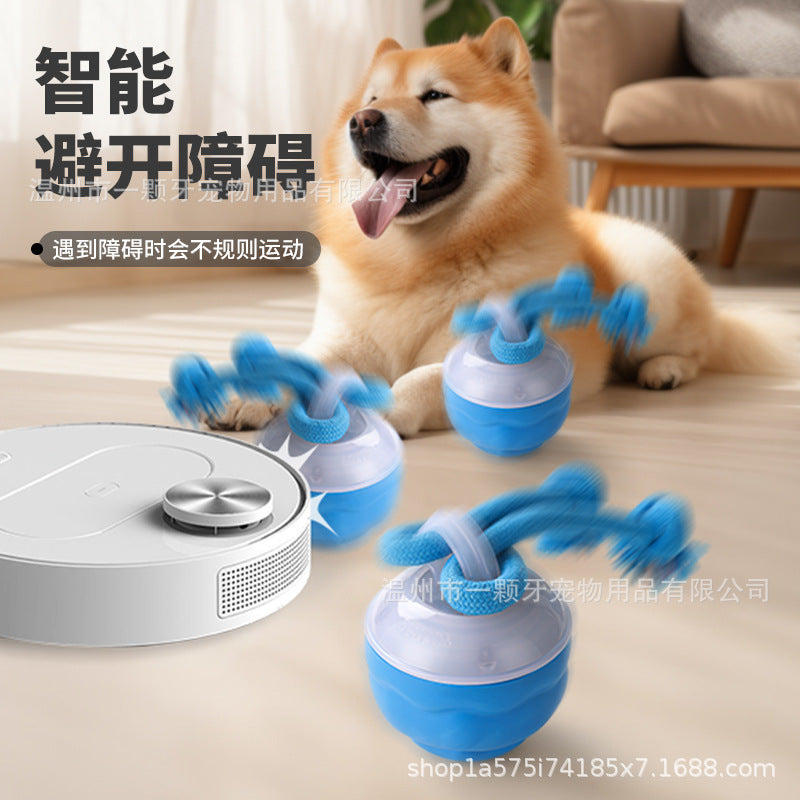 Cross-border pet smart rolling ball rolling ball electric dog boredom relief smart bite-resistant dog ball grinding toy