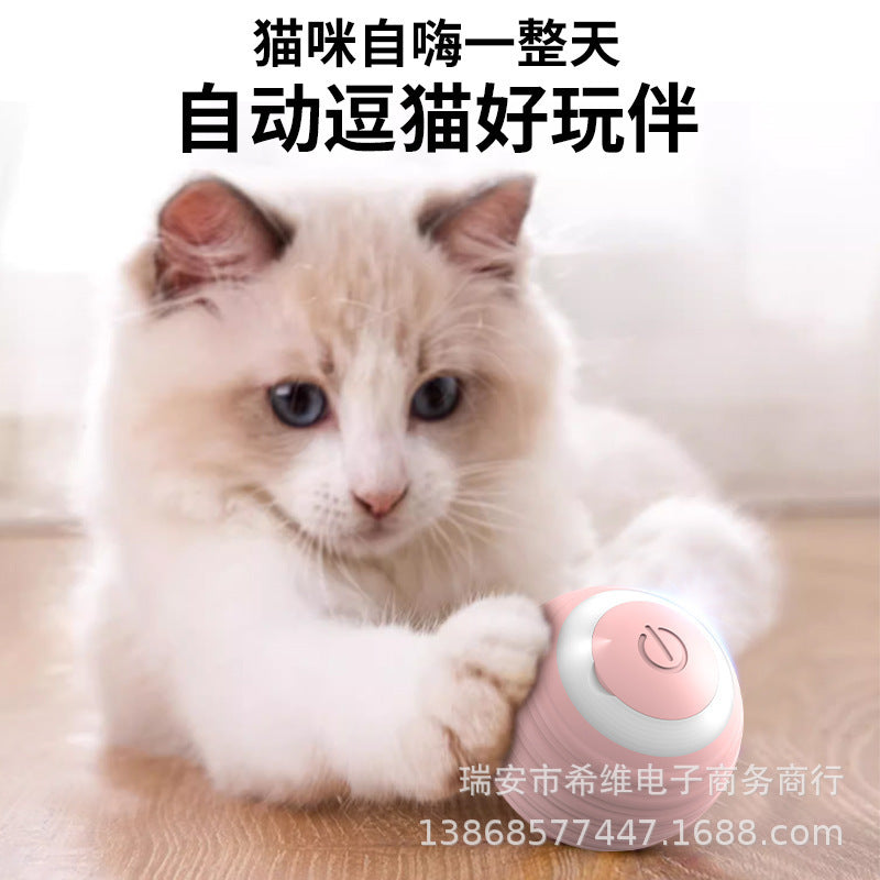 Funny Cat Ball Electric Bite-Resistant Self-Happiness Relief Toy Cross-border Pet Cat Track Wenzhou Gravity Smart Rolling Ball