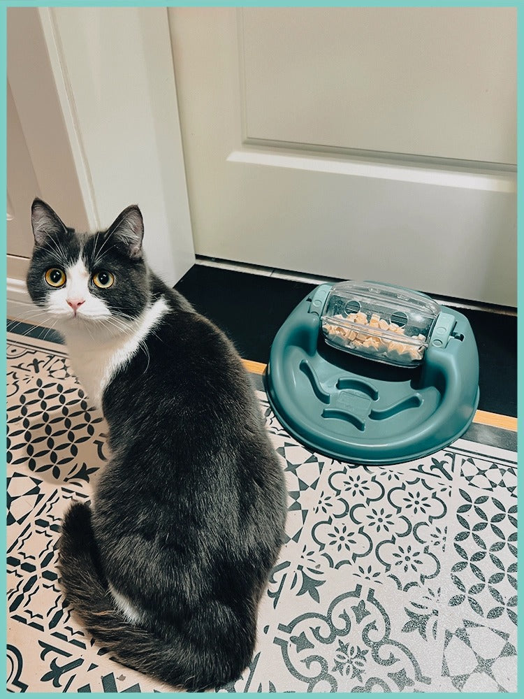 Cool extremely leaking toy dog puzzle roller forager pet amusing cat Tibetan food cat self-healing relief Tibetan food