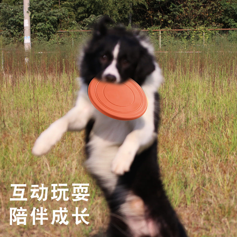 Puppy training disc pet frisbee dog frisbee floating soft frisbee pet supplies interactive TPR dog toy